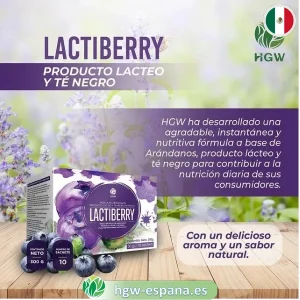 Lactiberry HGW 🥛 | Mezcla de Arándanos, Lácteo y Té Negro