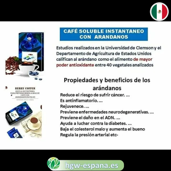 cafe con arandanos berry coffee3 es Café con Arándanos HGW | Blueberry Coffee ☕ Antioxidantes - Imagen 3