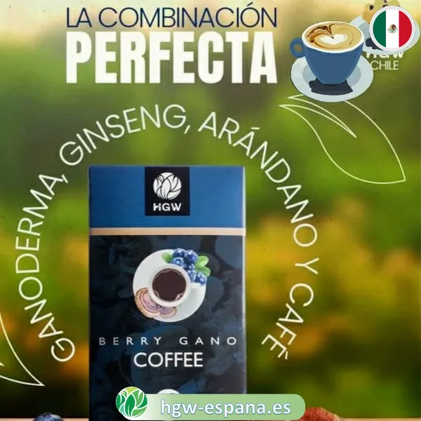 cafe con ganoderma arandanos1 es Café de Ganoderma y Arándanos HGW ☕ | Berry Gano Coffee - Defensas