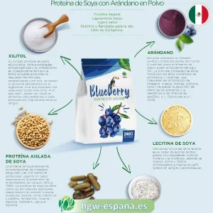 Proteína de Soja y Arándano HGW 🥛 | Nutrición Vegetal para Músculos y Piel